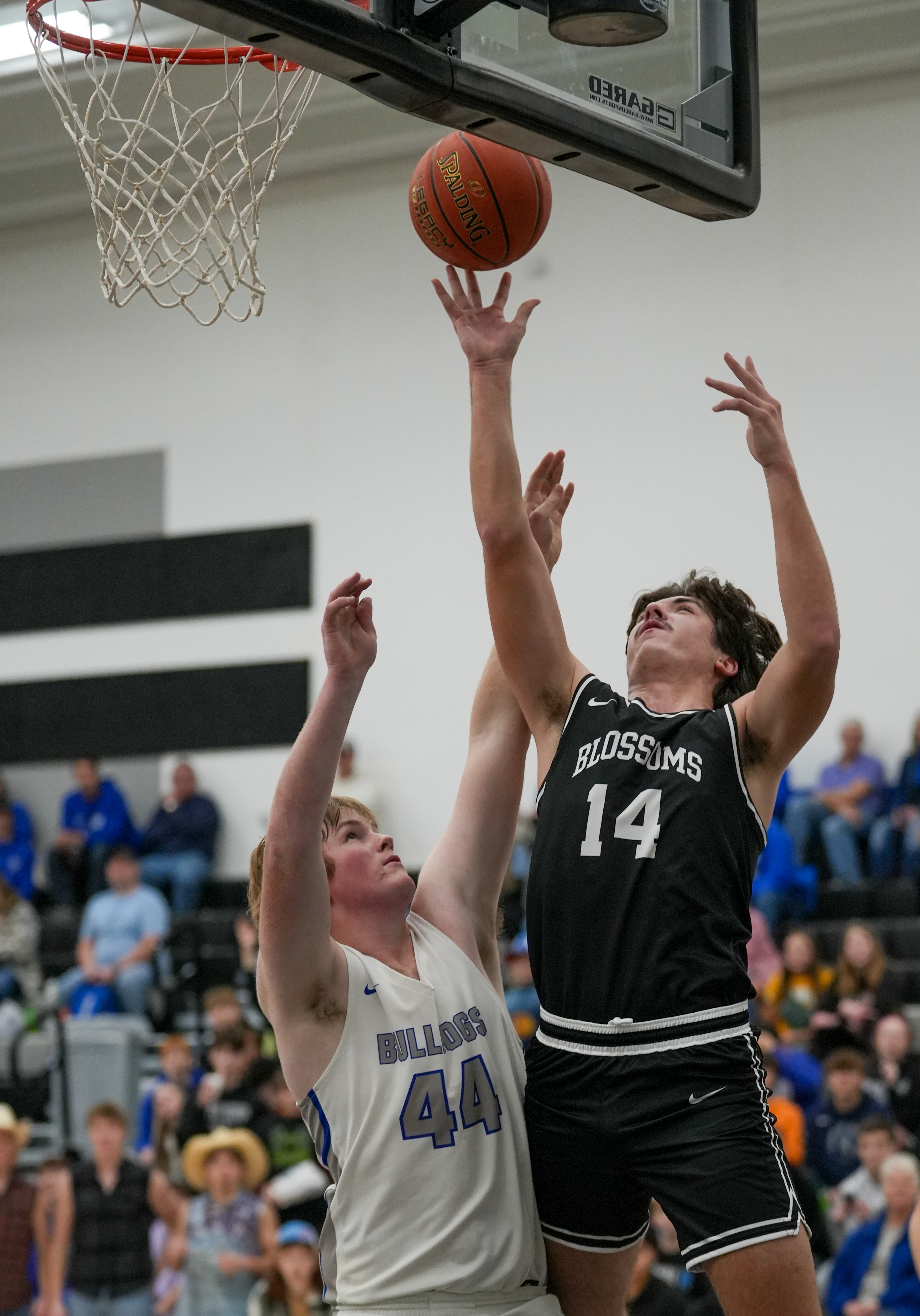 Blooming prairie, basketball, cooper cooke