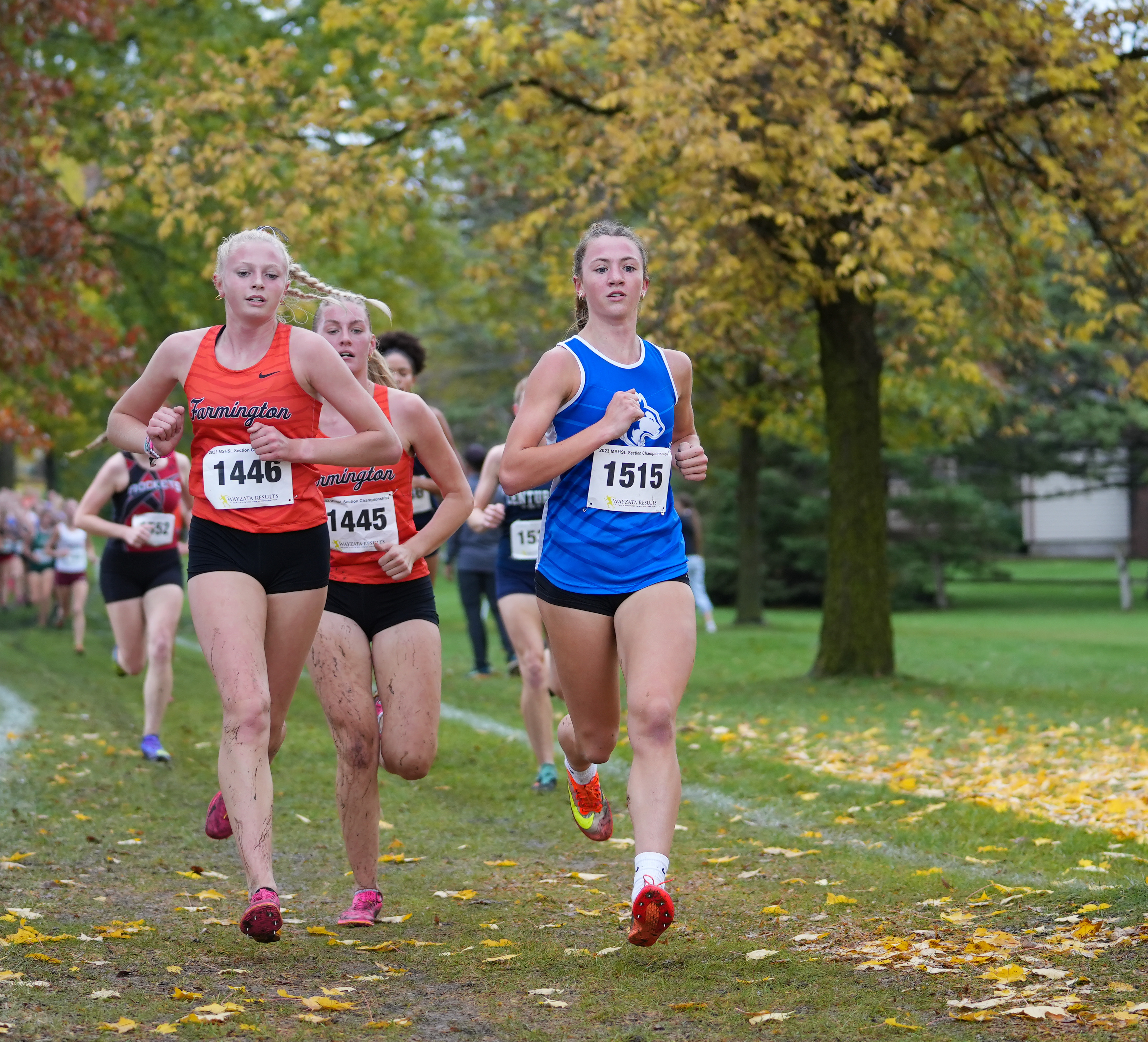 Cross country, owatona, section 1aaa, championship