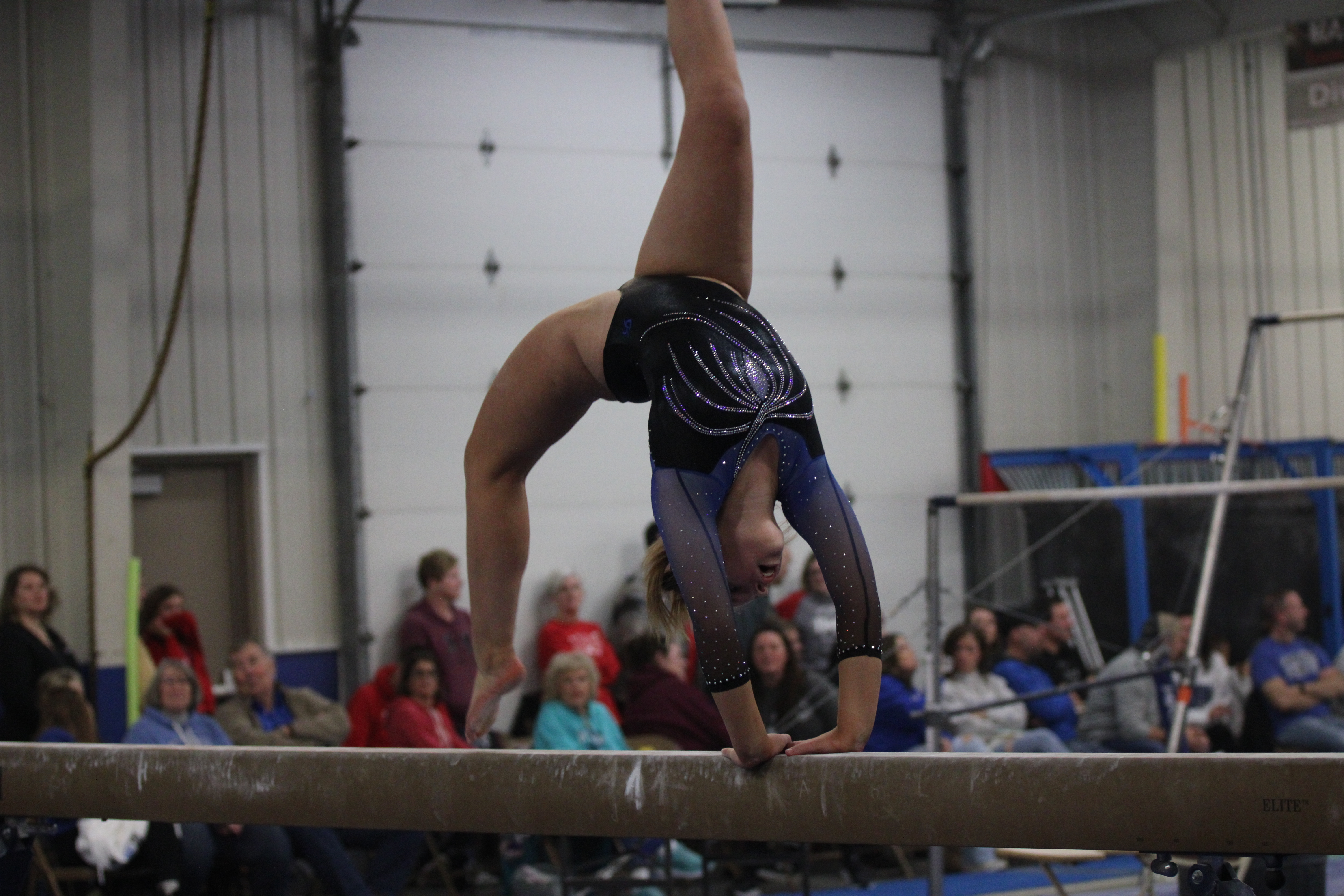 averie roush, gymnastics, owatonna