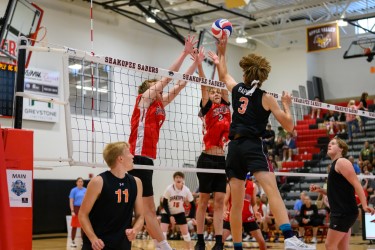 boys volleyball, steele county times