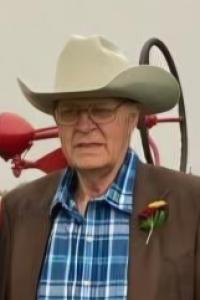Dale Loken, 86, Kasson, obituary