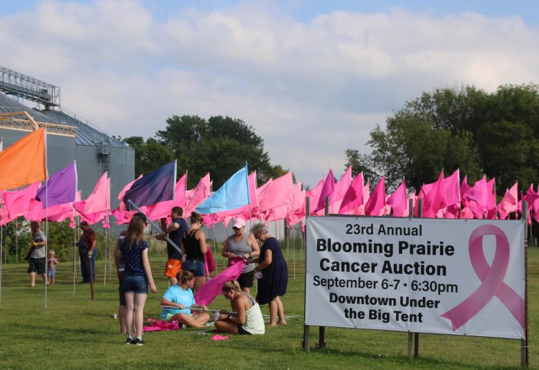 Blooming Prairie Cancer Group, field of flags, 2024, cancer auction